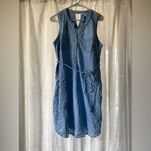 Denim Maternity Dress